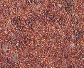 MAHOGANY | AMERIPOLISH COLORJUICE | XPS