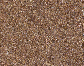 SADDIE BROWN | AMERIPOLISH COLORJUICE | XPS