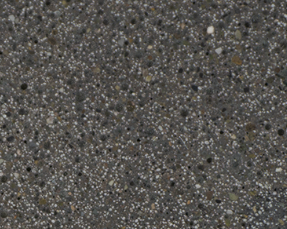 EGGPLANT | AMERIPOLISH | XPS