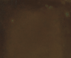 Acid Stain For Concrete - Clemons