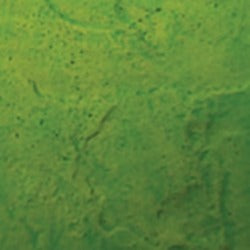 Acid Concrete Stain - NewLook Endura Faux Fusion