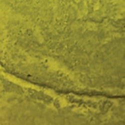 Acid Concrete Stain - NewLook Endura Faux Fusion