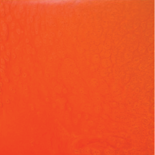 METALLIC POWDER | SAFFRON