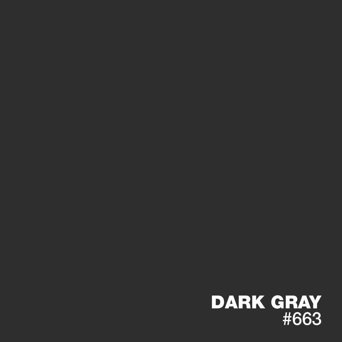 DARK GRAY #663 | XPS Standard Liquid Pigments