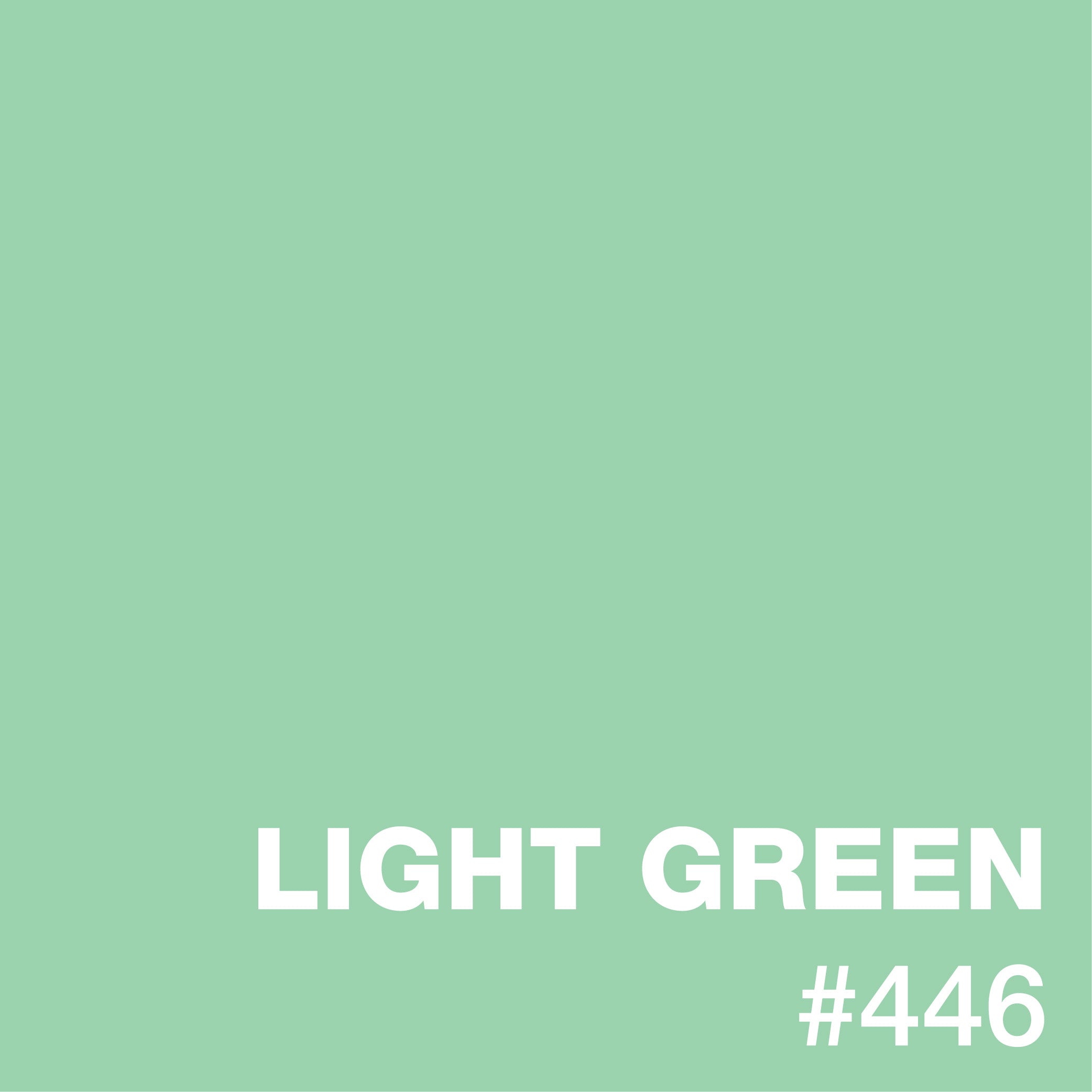 LIGHT GREEN | XPS Liquid Pigments: pigment epoxy.