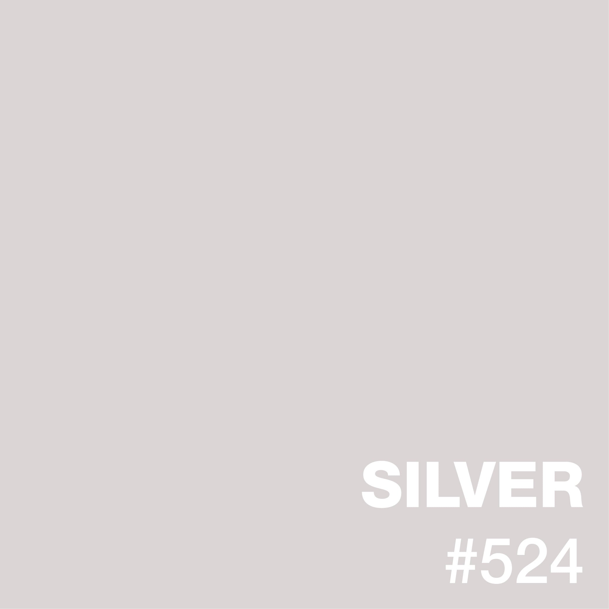 SILVER #524 | XPS Standard Liquid Pigments: pigment epoxy.