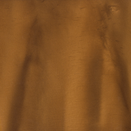 DRIFTWOOD | Xtreme Polishing Systems