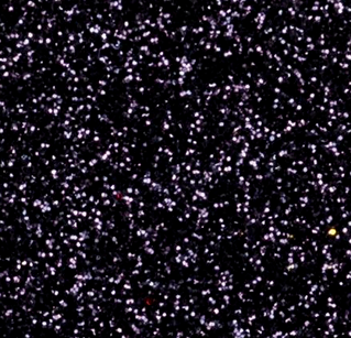 Screenshot_2024-09-26_at_17-02-32_Decorative_Finish_Glitter_Topcoat_Paint_-_Shimmering_Silver_San_Deco_Sandeco