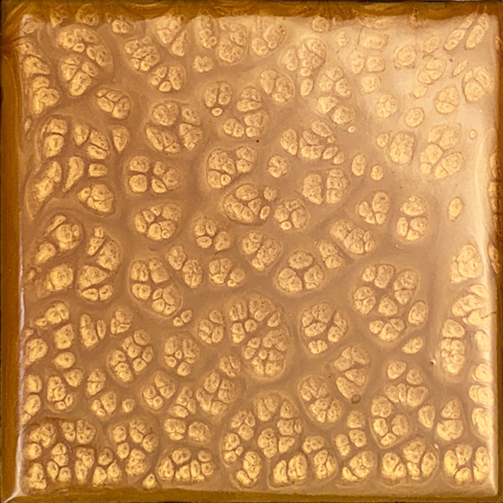 mayan gold epoxy resin.