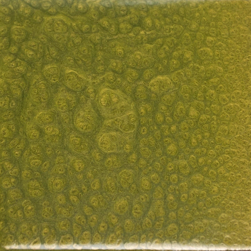 Xtreme Polishing Systems green colored epoxy paint.