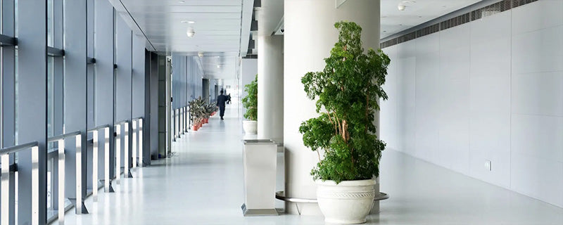 perspective view of hallway inside building with white floors, columns, plant pot, and side wall