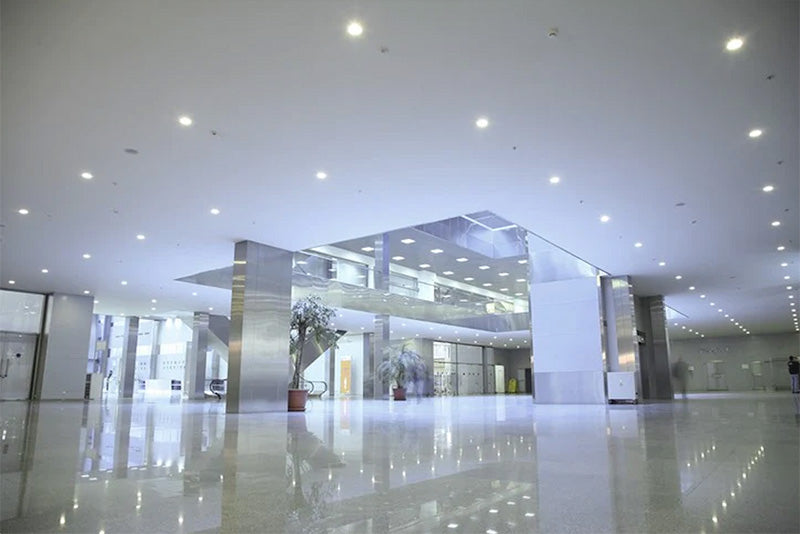 epoxy floor inside building with silver metallic columns, light on ceiling, and various plants on the floor