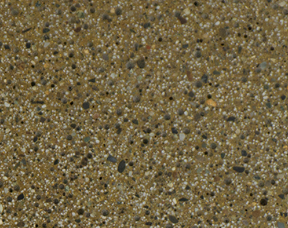 CARAMEL | AMERIPOLISH | XPS