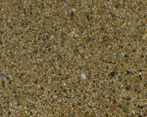 SIENNA | AMERIPOLISH | XPS