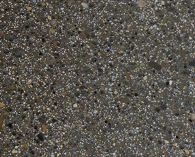 WALNUT | AMERIPOLISH | XPS