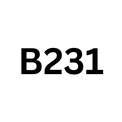 B231