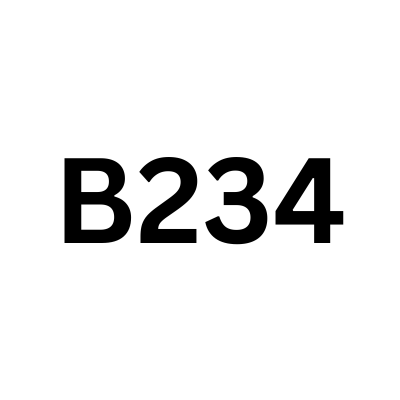 B234