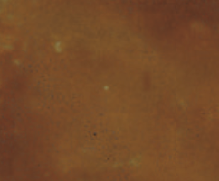 Acid Stain For Concrete - Clemons