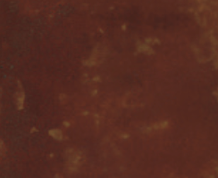 Acid Stain For Concrete - Clemons