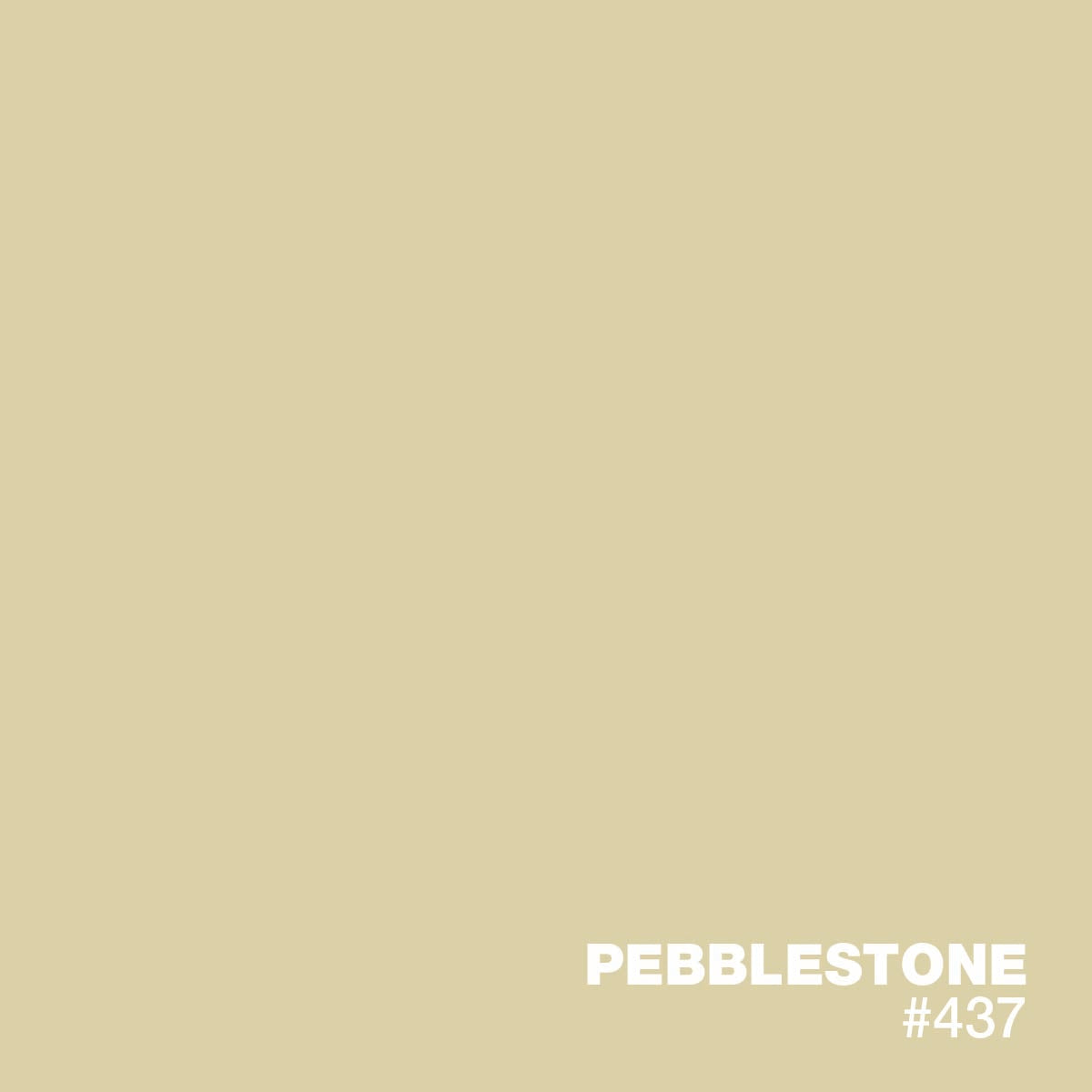 PEBBLE STONE #437 | XPS Standard Liquid Pigments