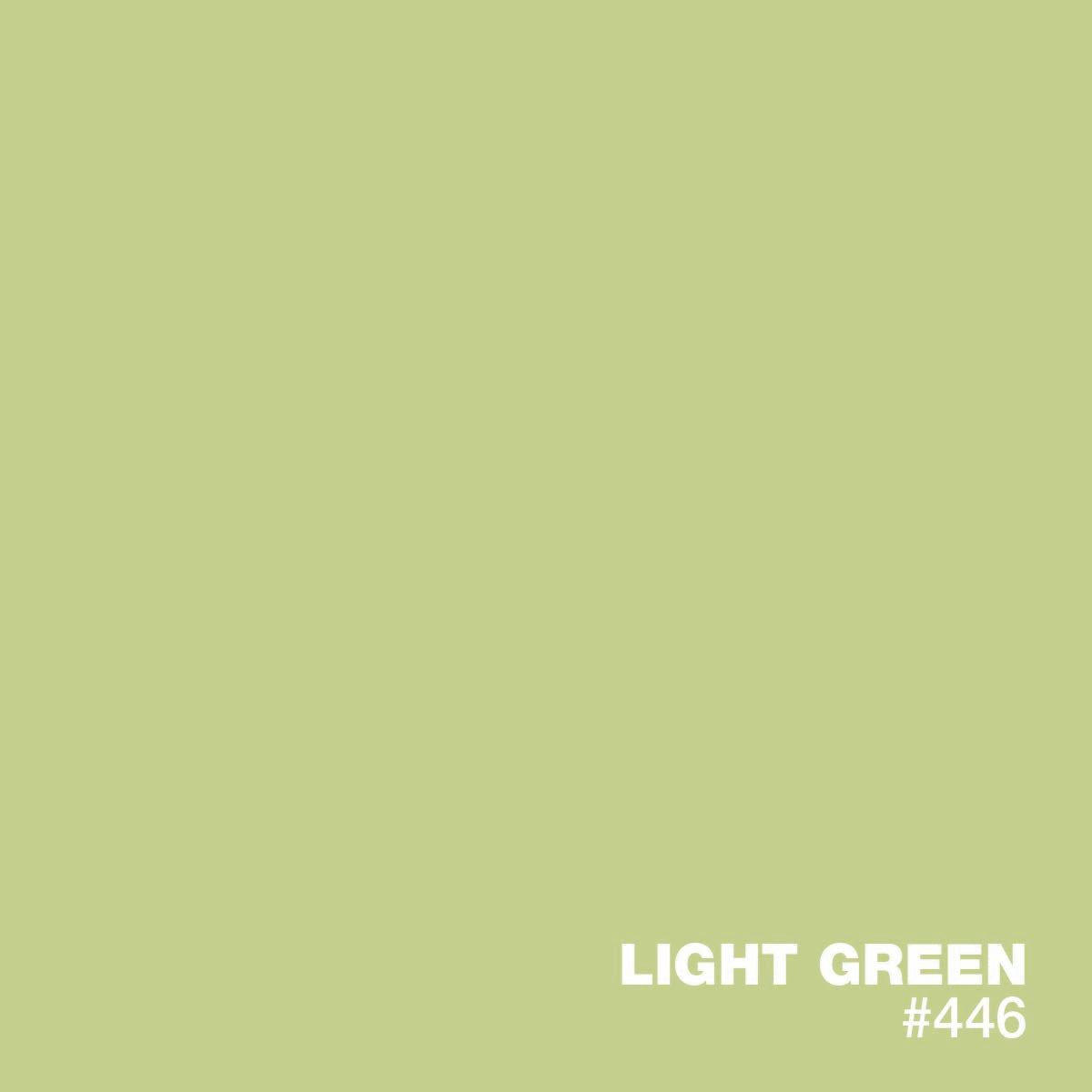 LIGHT GREEN #446 | XPS Standard Liquid Pigments