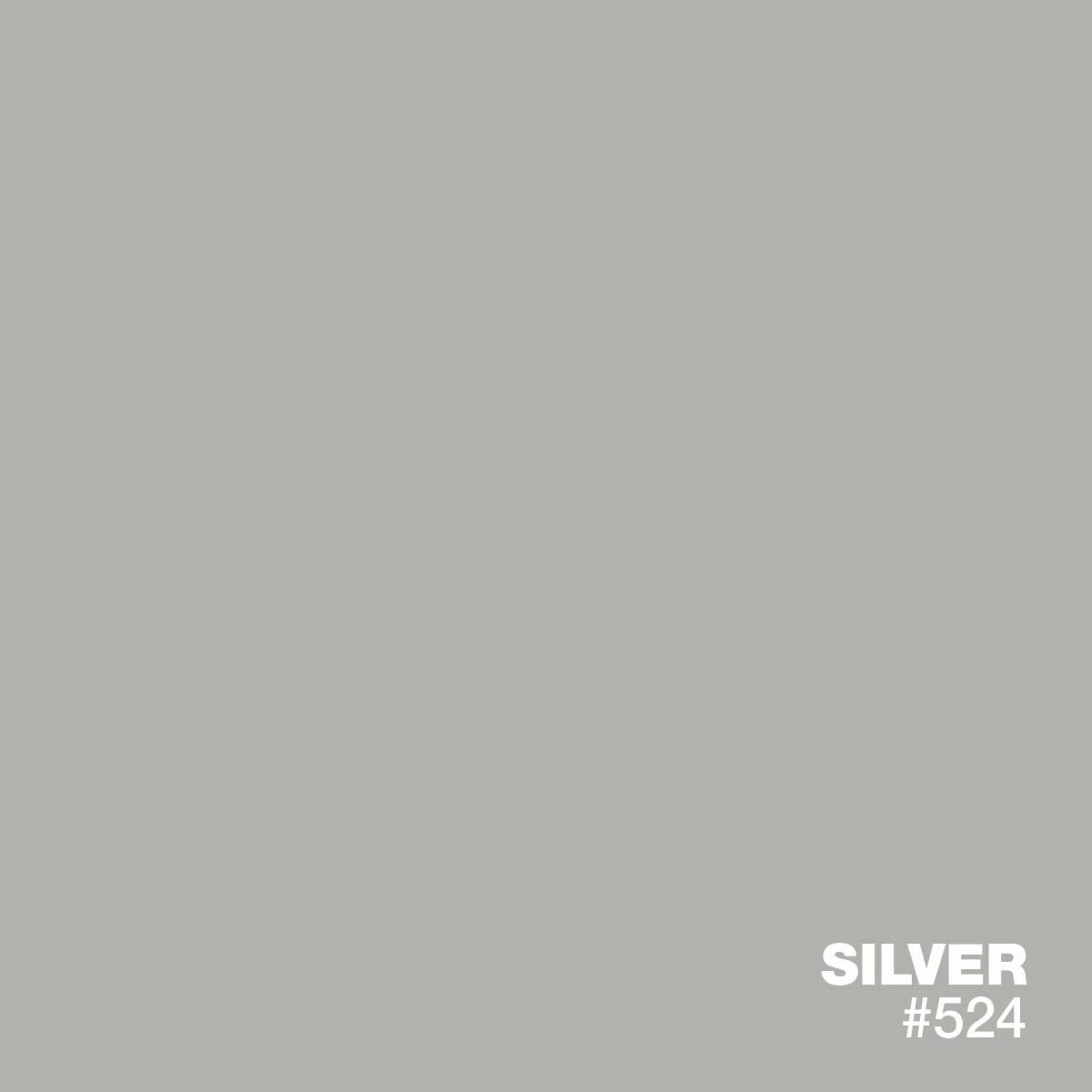 SILVER #524 | XPS Standard Liquid Pigments