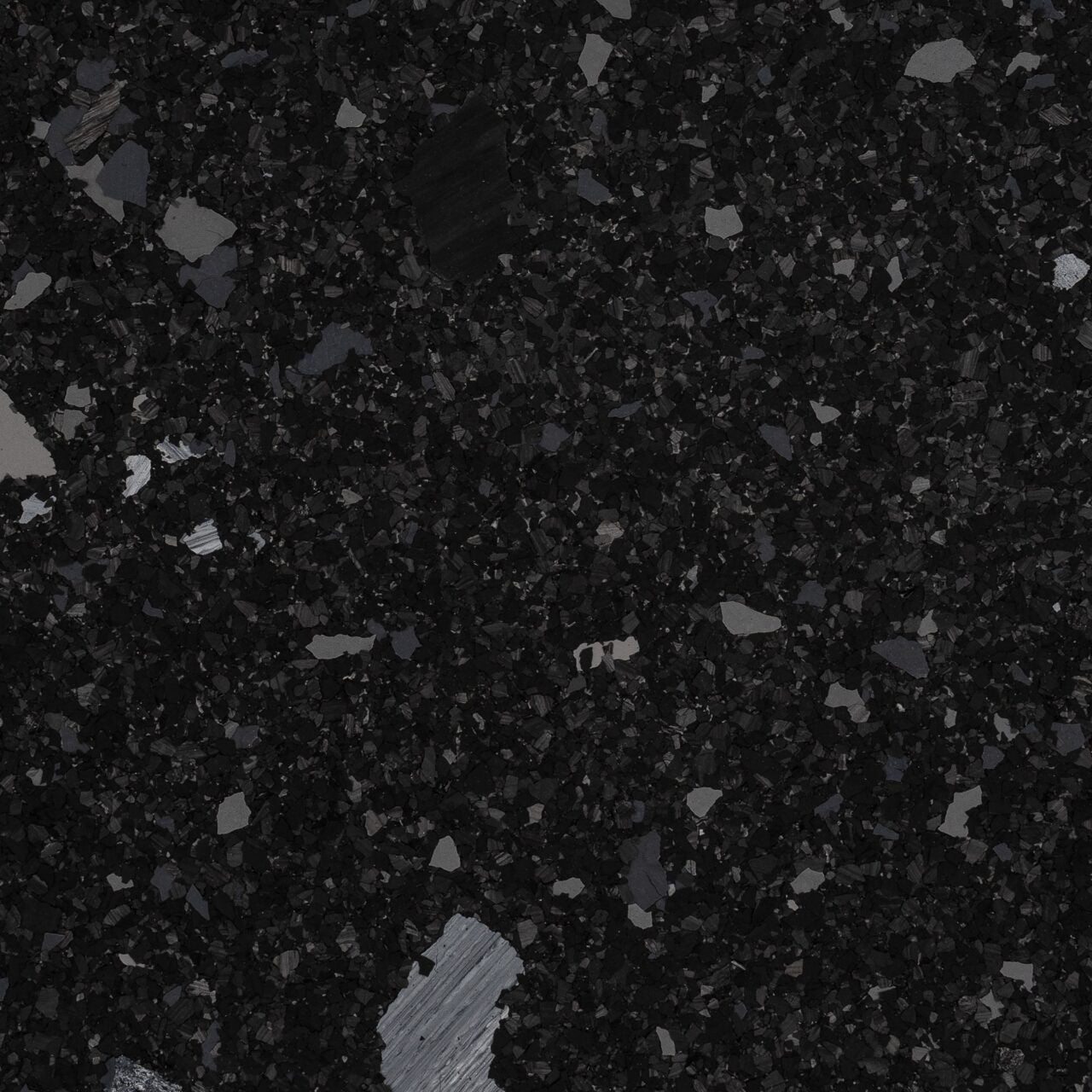 Nightshade FB-4451