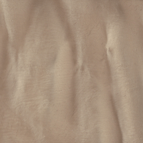 GUAVA | Xtreme Polishing Systems