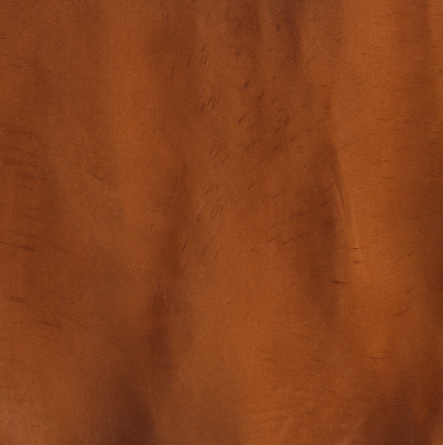 GINGER | Xtreme Polishing Systems
