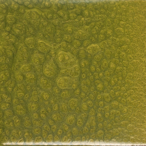 olive yellow epoxy paint.