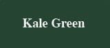 KALE GREEN | metzgermcguire spal pro rs 88 polyurea joint filler | XPS