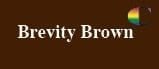 BREVITY BROWN | metzgermcguire spal pro rs 88 polyurea joint filler | XPS
